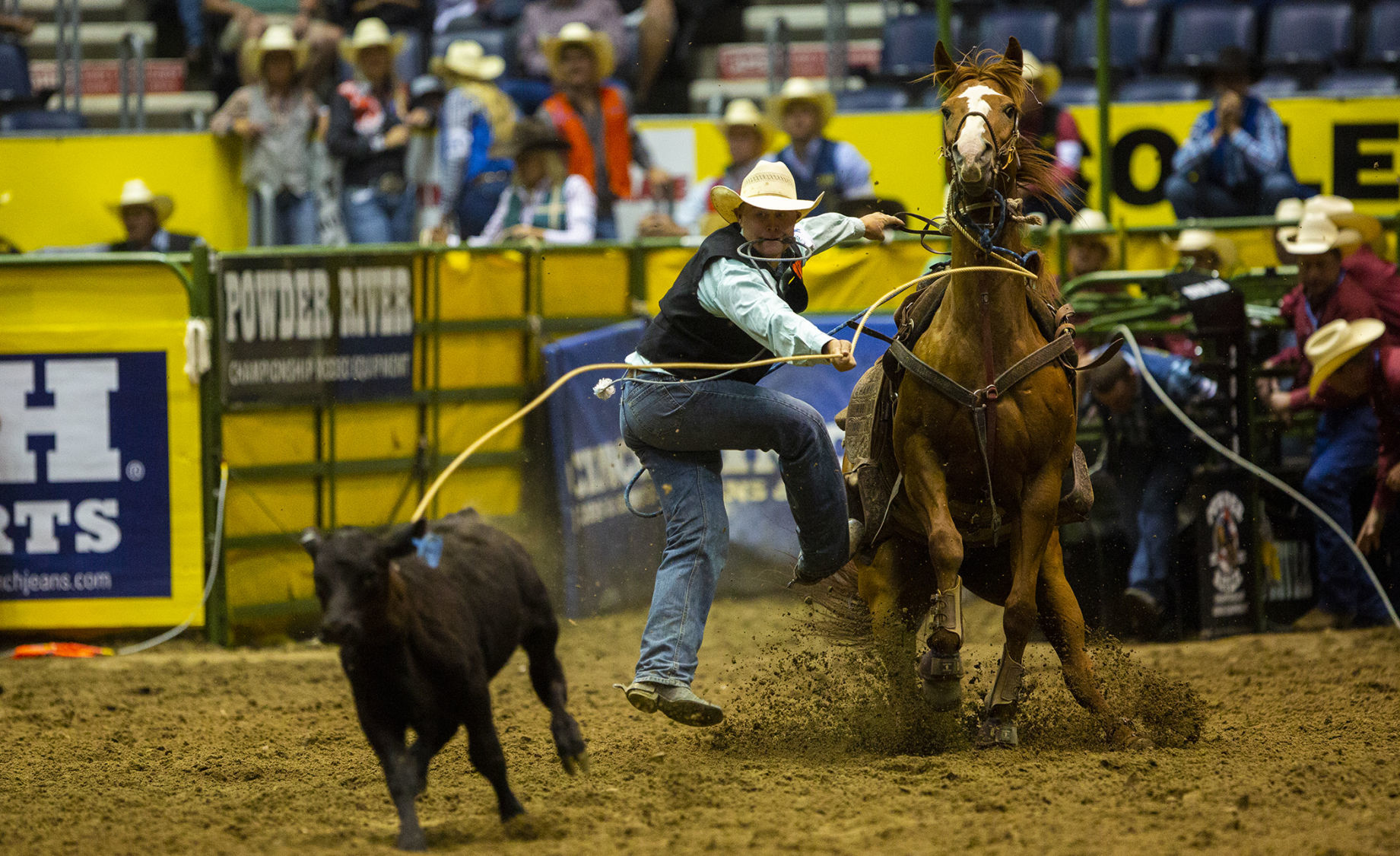 CNFR Wednesday